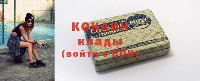 купить наркотики сайты  Дубовка  COCAIN Fish Scale 